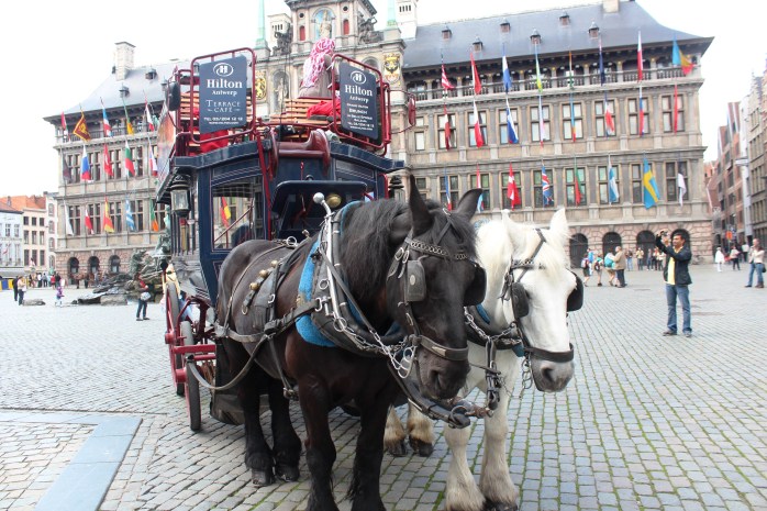 Our double-decker horse carriage in Grote Markt of Antwerp, Belgium