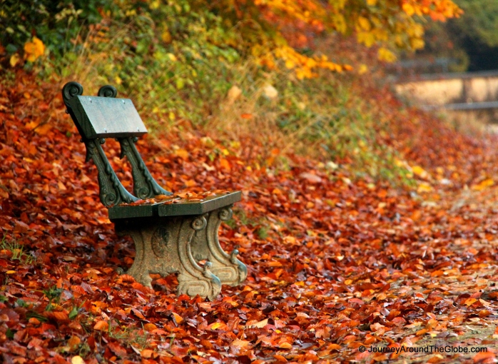Autumn in full swing in Tervuren Park, Belgium
