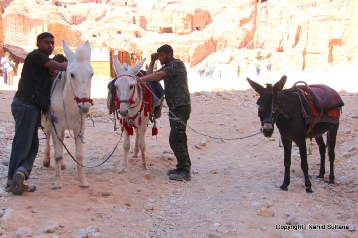 Our guides and rides to the monastery in Petra, Jordan
