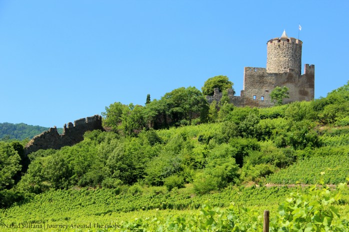 Ruins of Kayserberg Castle in Kayserberg, France