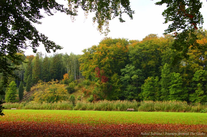 Fall colors in Soignes Forest in Belgium