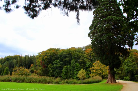 A perfect place to mingle with the nature in La Hulpe, Belgium