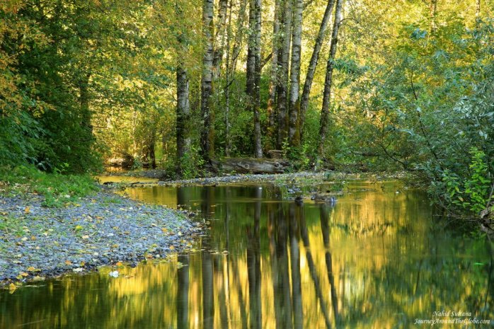 Autumn reflection Multnomah creek opposite of Multnomah Falls in Oregon