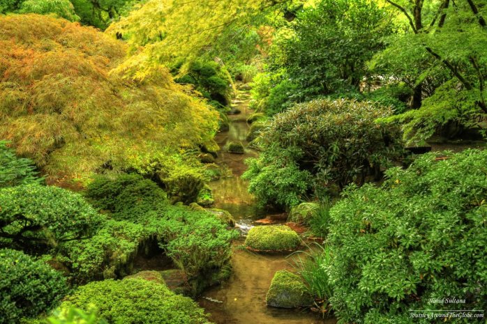 A small stream running down in the middle of Portland Japanese Garden in Oregon
