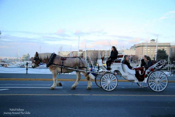 Victoria, Canada...kind of reminded me of old towns of Europe