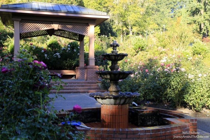 International Rose Test Garden in Portland, Oregon is the oldest continuously operating public rose test garden in the U.S. 