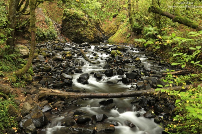 Bridal Veil Creek, a short distance from the famous Multnomah Falls in the gorge