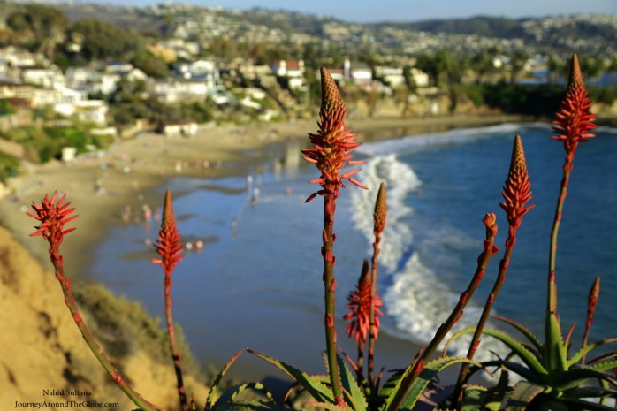 Laguna Beach in Irvine, CA