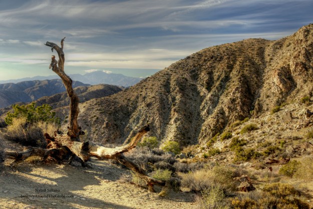Beautiful landscape of Joshua Tree National Park, California