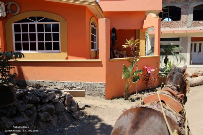 Buggy ride thru Stone Island in Mazatlan, Mexico